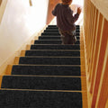 Non slip Strips for Carpeted Stairs clear Stairs Mat Carpet Protector