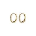 Daidan Earrings 925 Sterling Silver Earings Women Trendy 10 12 14 16mm Hollow Round Zirconia Jewelry Huggie Hoop Earrings