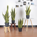 Best Selling Artificial Tropical Aloe Vera Agave Bonsai Small Green Plastic Realistic Simulation Grass Leaf for Home Decor