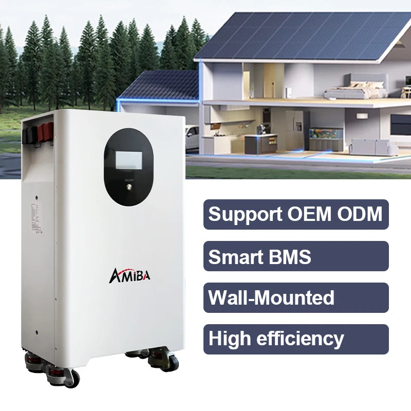 51.2V 100Ah 200Ah LiFePO4 Battery Lithium Batteries for Solar Energy Storage Battery 5kwh 10kwh 15kwh for Home