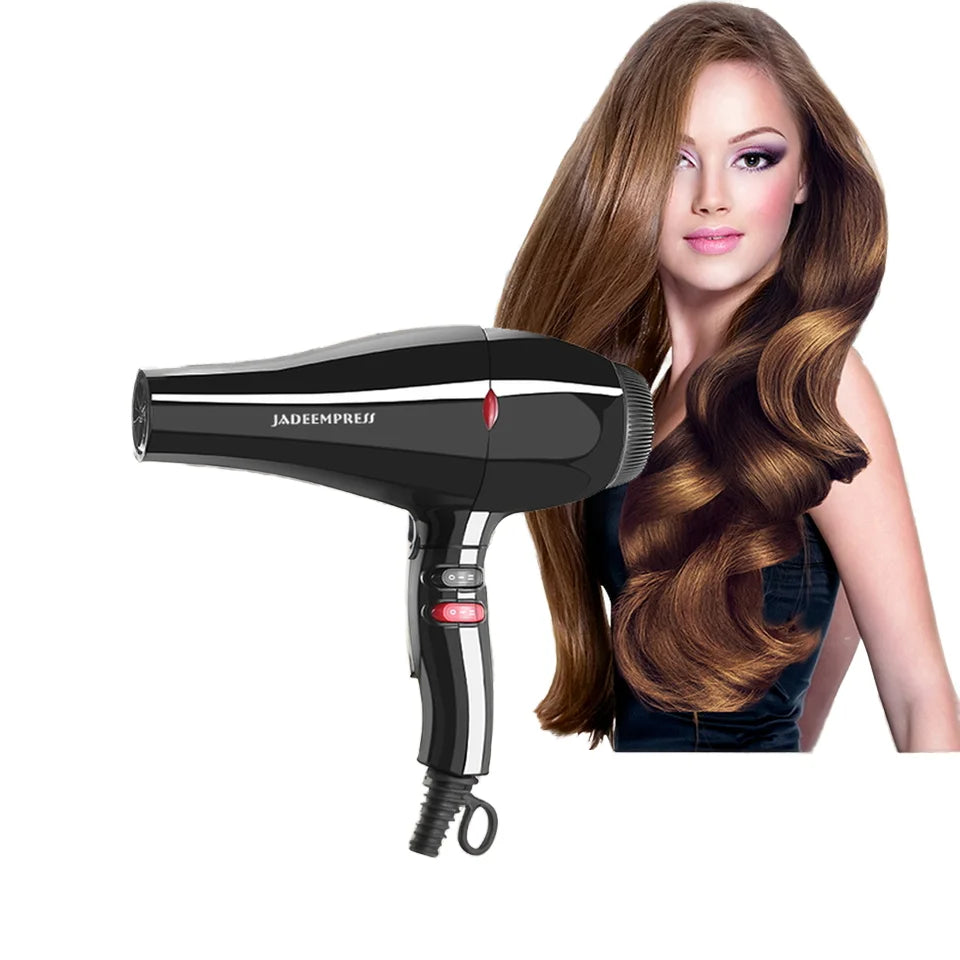 Wholesale Factory Price Professional AC Hair Dryer Ionic Freestyle System Blow Dryer for Travel Concentrator Diffuser Outdoor