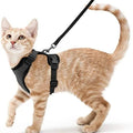 Breathable Air Mesh Reflective Adjustable Cat Harness and Lead Leash Set for Cat