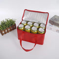 Custom 600D Durable Polyester Cooler Bag with Zipper Thermal Insulated Outdoor Picnic Food Cooler Bag Blank Pattern