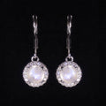 C4950 Trusted Jewelry Wholesale Suppliers 925 Sterling Silver Gemstone Minimalist Rainbow Moonstone Dangle Earrings