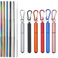 Stainless Steel Telescopic Straw Outdoor Foldable Portable Metal Keychain Straw