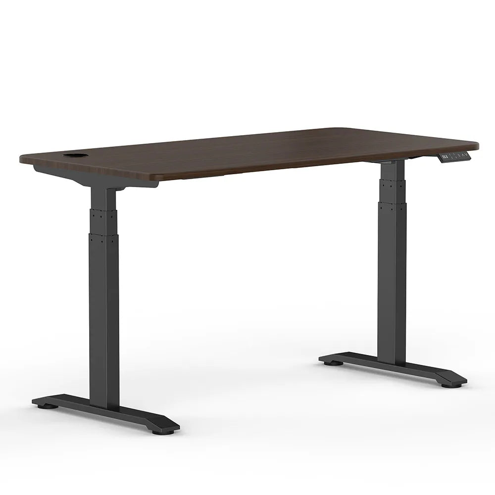 Dual Motor Electric Adjustable Standing Desk Height Desk Frame for Luxury Office