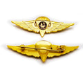 Qatar National Emblem Logo 3D Wing Lapel Pins Double wings Shine Gold-plated Metal Badges for Qatar air Company Suit Decoration