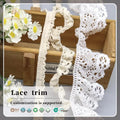 Custom Fancy Elegant Border Lace Trim Luolita Fancy Crochet Lace Trim for Garments