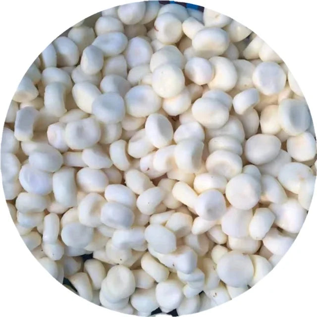 IQF Frozen Water Chestnut Whole or Slices IQF Processing Fresh Root Slice Whole Peeled Certified