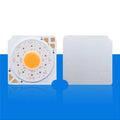 Wholesale 1919 Size RGBW 24V 20W Cob LED Bridge Chip for Stage Lighting with 3-Year Warranty and Dimmable