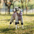 Wholesale Jumpsuit Dog Raincoat Logo Medium Fashion Outdoor Clothes Designer Reflective Small Waterproof Large Pet Poncho