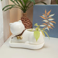 Modern Cartoon Cat-Shaped Succulent Planter Cute Animal Flower Pot Decor for Home Office Desk or Shopping Mall Style Chinese