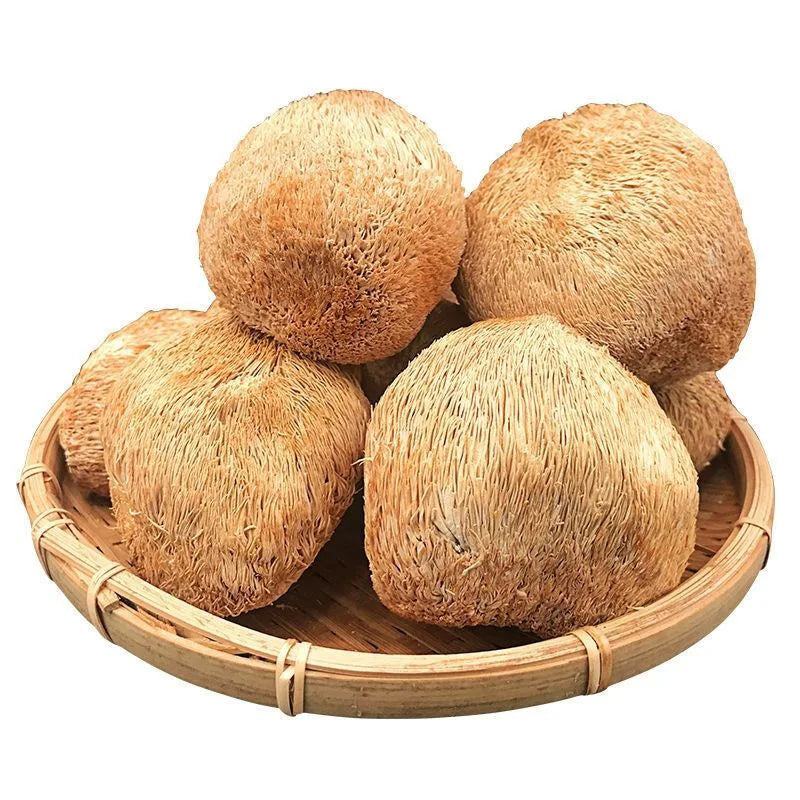 Wholesale Dried 5-8cm Top Grade Lions Mane Healthy Herbs Smart Mushroom for Gummy Coffee Tea Natural Organic Cultivation