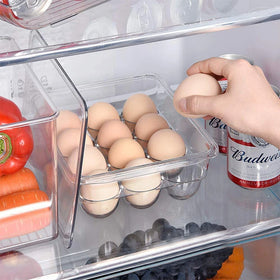 Factory Wholesale Modern Rectangle Transparent Eco-Friendly PET Mini Refrigerator Egg Preservation Box Multifunction
