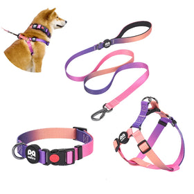 Wholesale Custom Luxury Training Dog Harness Set Printed No Pull Dog Strap Harness Quick Release Collar Leash Pet Manufacturers'