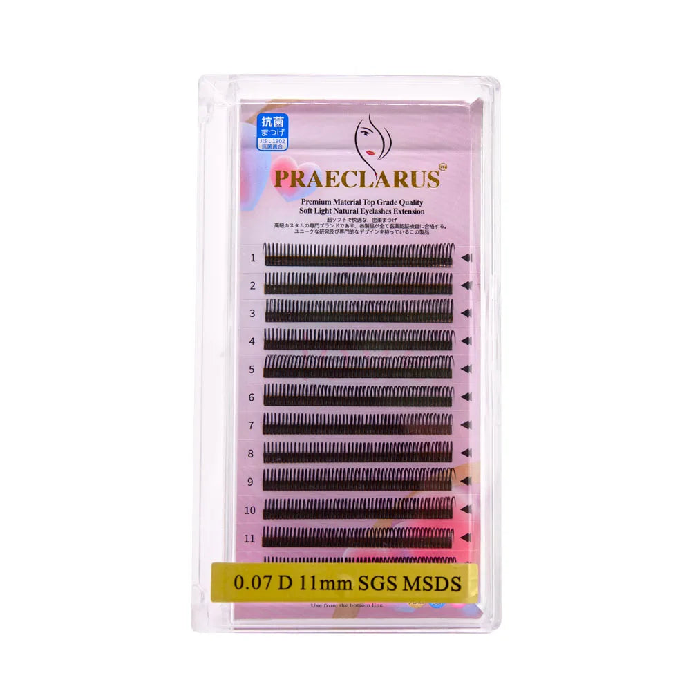 PRAECLARUS 5D Flowering Lash Trays New Produminklash Extension Supplies Fairy Individblackashes Easy Fan Flower Black Hand Made