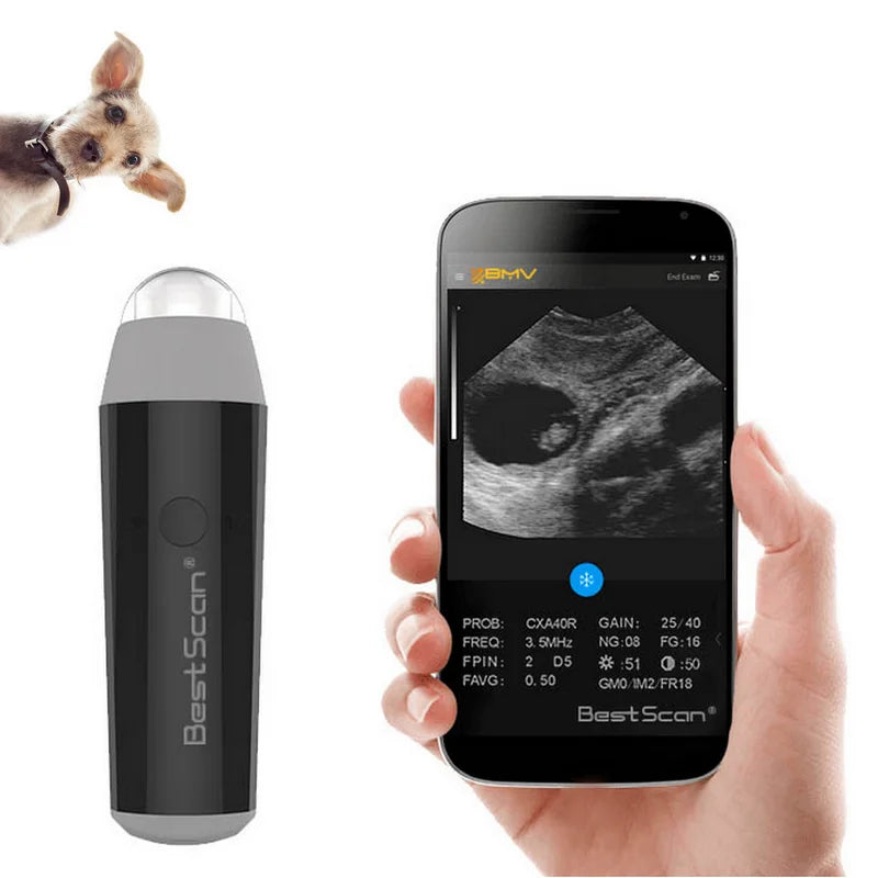 Vet Mini Wireless Ultrasound Machine Probe Wifi Sheep Pig Goat Handheld Portable Veterinary Ultrasound Machine MegaBDM