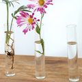 Art Deco Design Driftwood Wooden Cylinder Glass Tabletop Hydroponic Flower Vase