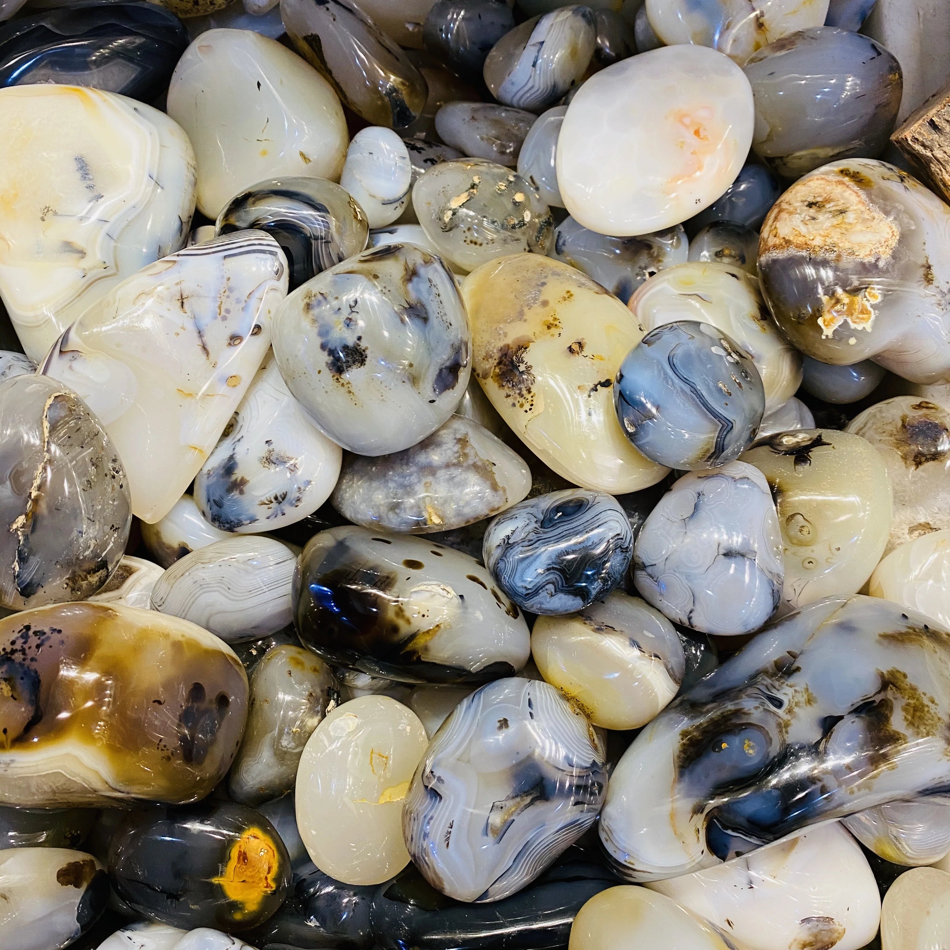 Wholesale Natural Polished Dendritic Agate Crystal Palm Stone for Healing