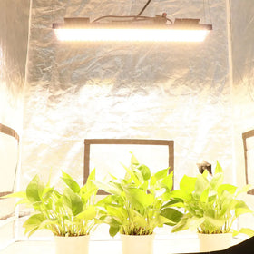 Yxo Yuxinou 240W Uv Ir Lm301H Lm282B Grow Light Led 240W Dimmable Indoor Plant Led Grow Light