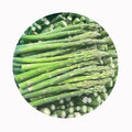 2026 China's XMSD Frozen Asparagus Whole Root IQF Certified Wholesale Sales Price Characteristic Supplier Retailer