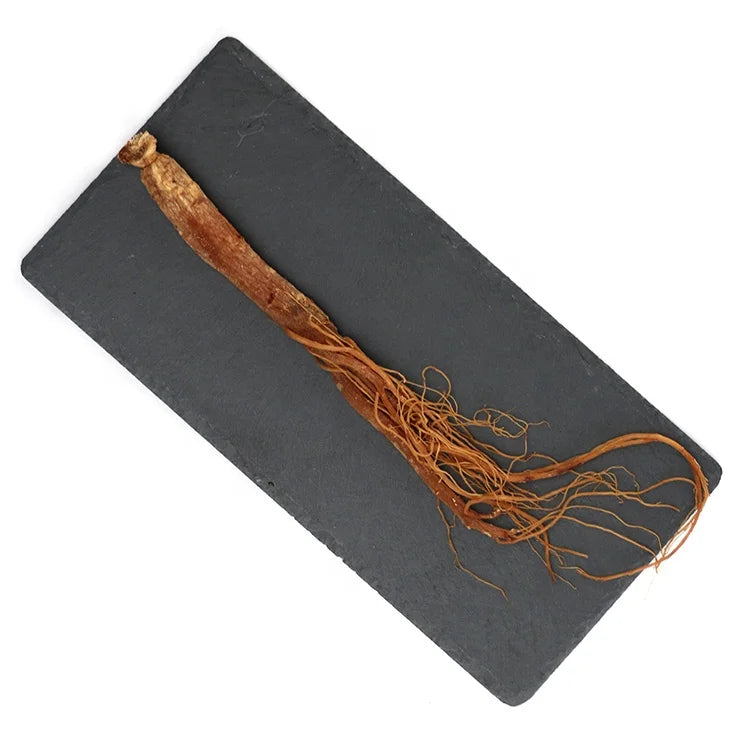 Herbal Dried Korean Organic Panax Red Ginseng Root