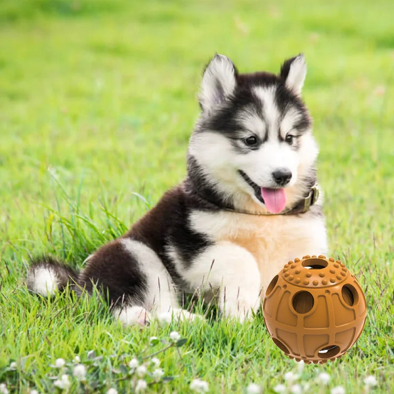 Squeaky TPR Treat Feeder Dog Toy Cute and Fashionable Interactive Chew Toy for Small Pets for Outdoor Training and Daily Use