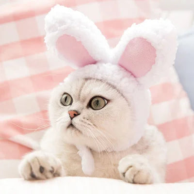 Funny Pet Dog Cat Cap Costume Warm Rabbit Hat New Year Party Christmas Cosplay Accessories Photo Props Headwear