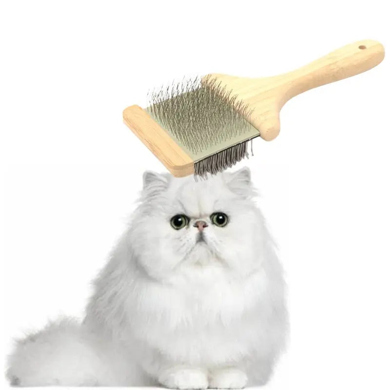 Sustainable Eco-Friendly Stainless Steel Wood Hair Brush Natural Bristles for Cats' Grooming OEM/ODM Model Bcb-004 Made Zhejiang