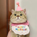 Wholesale Cheer Banner Set Decoration Luxury Cone Party Hat for Pets