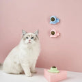 New Interactive Sucker Wall Ball Cat Catnip Toy for Indoor Cats