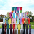 24oz Double Walled Pineapple Stud Tumblers Acrylic Color Changing Drink Cups With Lid and Straw