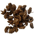 Chan Tui Traditional Herb Dried Whole Cicada Slough for Sale