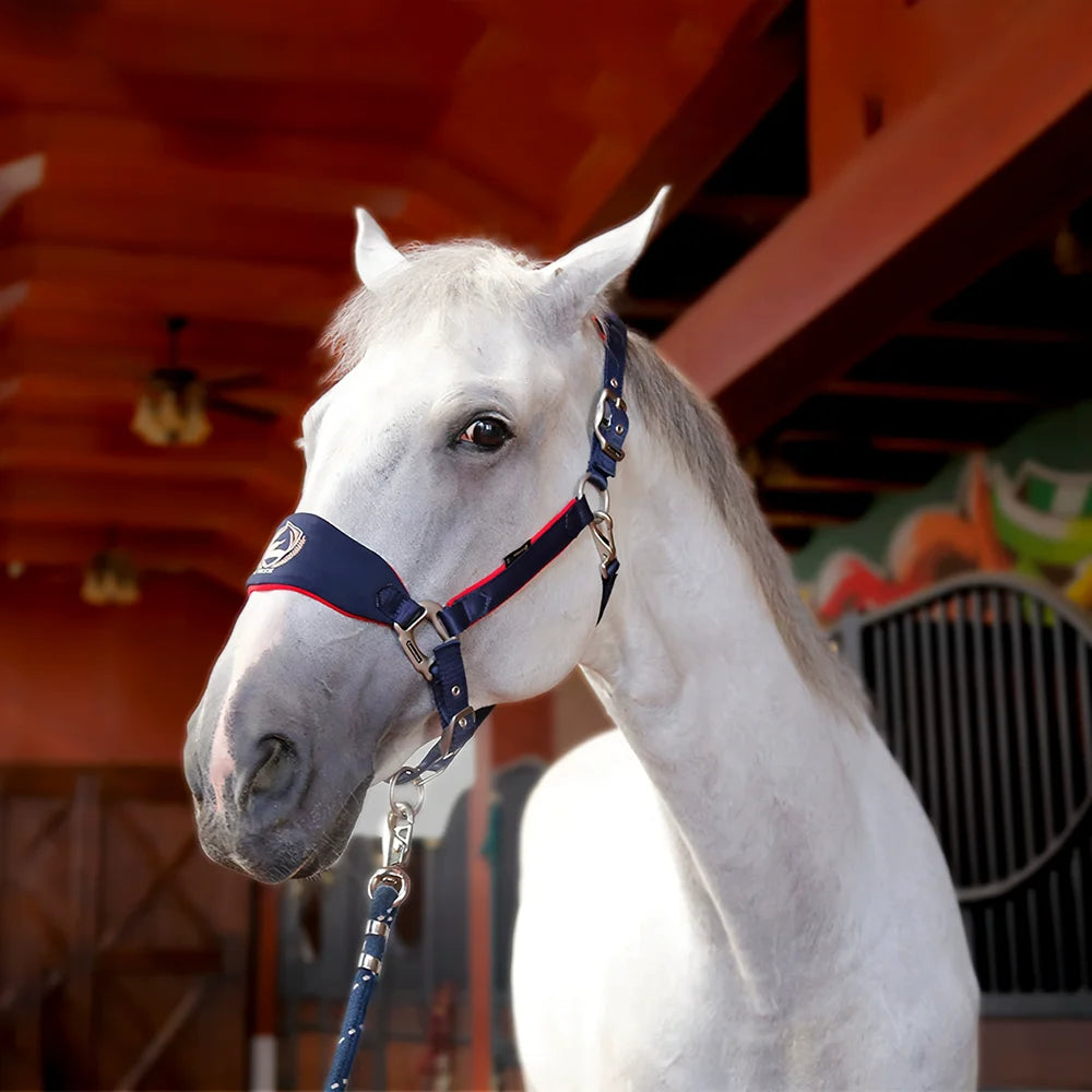 Breakaway Padded Weaver Horse Halter Bridle Horsemanship Personalized Equine Halters For Horses