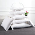 100% Cotton Cover 5% Goose Down 95% Feather Modern Rectangle Eco-Friendly Luxury Neck Sofa Bed Pillow