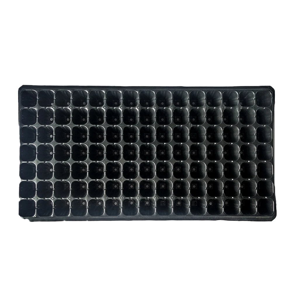 Cheap 72 Holes Depth 4CM Plants Nursery Seedling Pots for Thailand Market