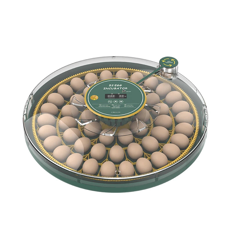 Hhd New Series 52H Dual Power DC 12V Automatic Egg Incubator Hatching Machine With Auto Egg Turning