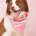 Wholesale Elegant Christmas Pet Birthday Party Supplies Print Decoration Scarf Hat Holiday Polyester Dog Bandana