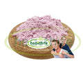 Healthife Food Grade Raw Material Price Lactoferrin Powder