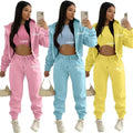 Custom Logo Fall Women's Clothing Thick 2 Piece Set Tracksuit Sweat Suits Jogger Set 3 Pieces Outfits Sweatpants and Hoodie Set