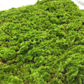 EG-A073 Lawn Plant Wall Moss Artificial Outdoor Green Grass Home Wedding Decoration Natural Touch Artificial Moss