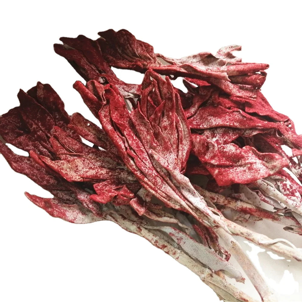 Bulk Dried Dragon Blood Sage Red Smudge Stick Red Dragon Blood Sage