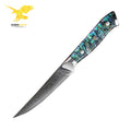 KEENHOPE Professional Japanese Damascus 4.5inch Steak Knife 67Layers VG10 Steel Sharp Kitchen Knife with Abalone Shell Handle MegaBDM