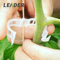 Low Cost Agricultural Greenhouse Accessories 22/25mm White/Black Plant Support Tomato Trellis Clips for Sale Tomato Support Clip