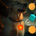 Wholesale Pet Silica Gel LED Luminous Pendant Dog Cat Decorative Collar Night Safe Pet Necklace Glowing Bright Ornaments