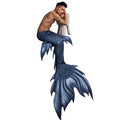 Factory-Reversible Beautiful Mermaid Tail Swimwear Sportswear Flipper Monofin Fin Bikini Design Print Spandex/Polyester