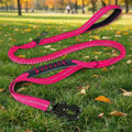 Multifunctional Reflective Strips Dog Leash Fashion Style Nylon Car Seat Belt 2 Comfortable Padded Handles Soft Metal Features MegaBDM