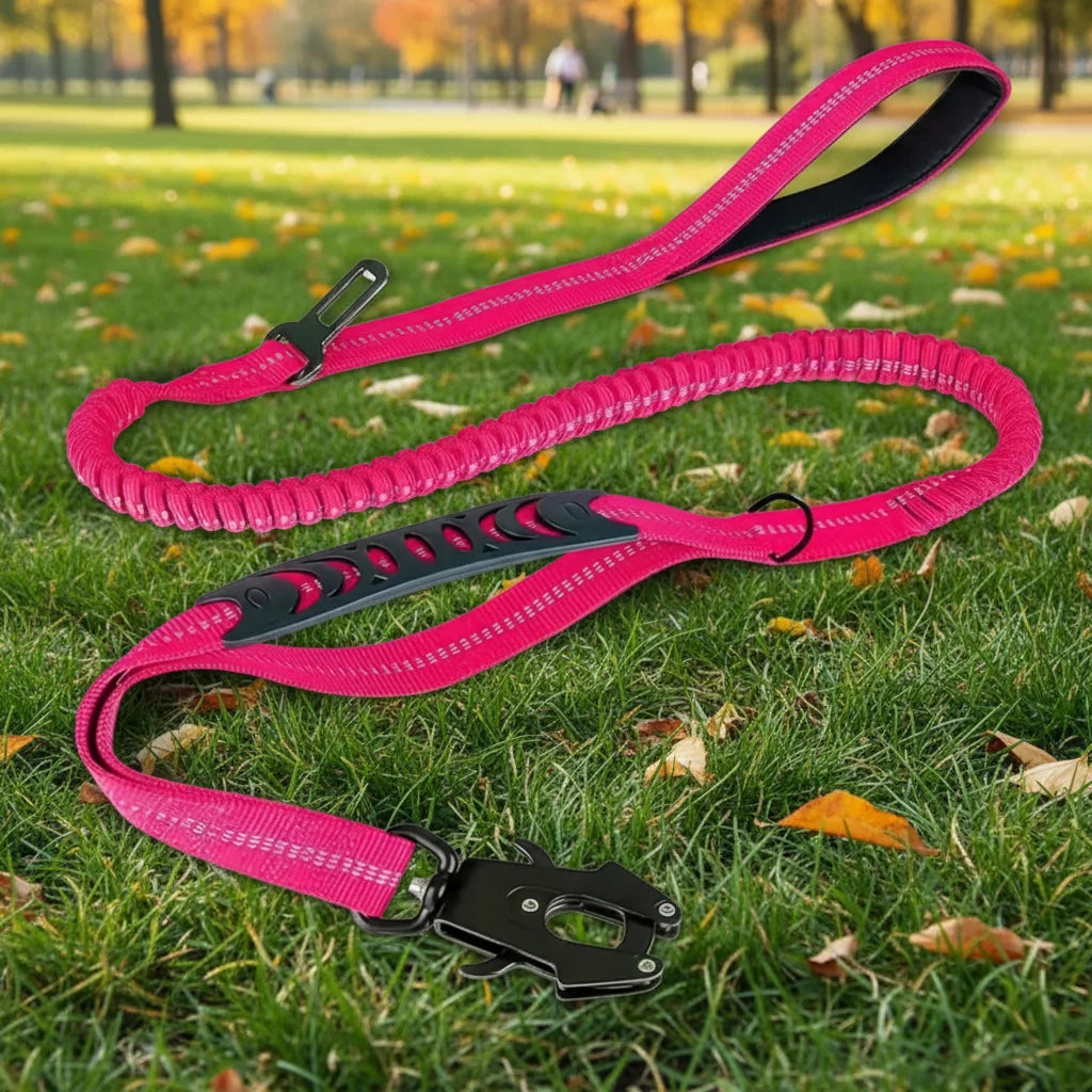 Multifunctional Reflective Strips Dog Leash Fashion Style Nylon Car Seat Belt 2 Comfortable Padded Handles Soft Metal Features MegaBDM