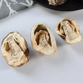 Factory Hot Sale Natural Dry Volvariella Volvacea Dried Straw Mushroom with Cheap Price