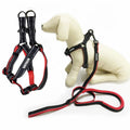 Adjustable Nylon Strap Dog Harness with Quick Release Leash Set Custom Polyester Fabric for Pet Owners